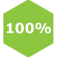 100% Fundraising Team Captain